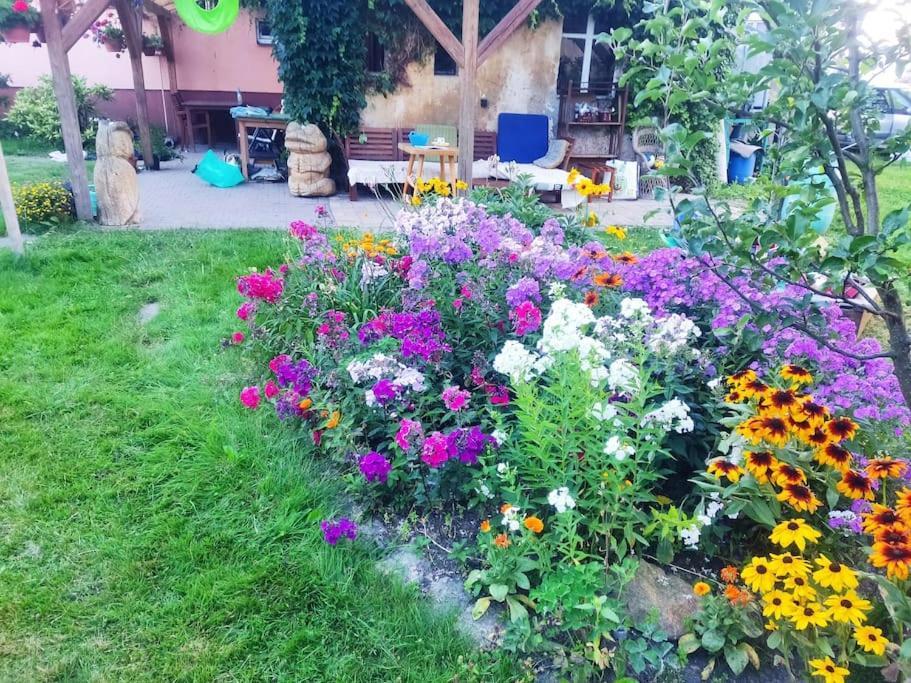 Apartment In Blossom Garden نوف مستو بود سمركم المظهر الخارجي الصورة